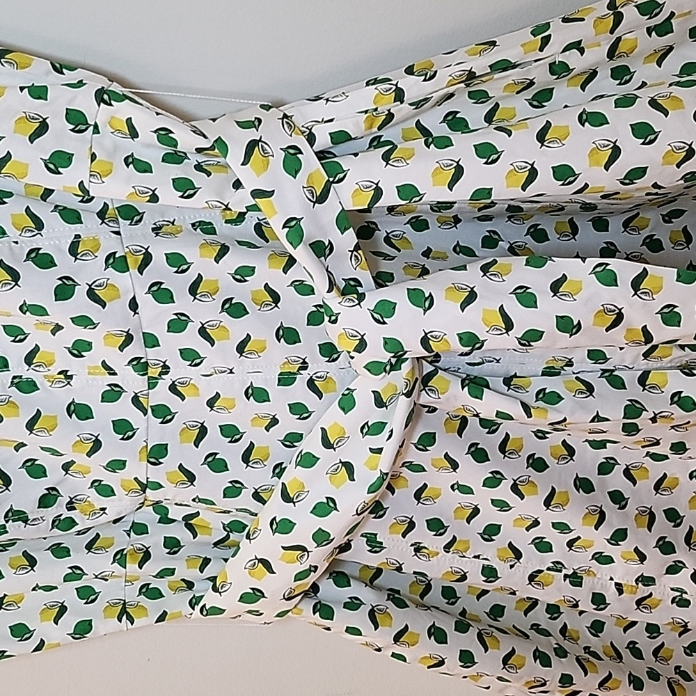 Boden  Kelly Green / Yellow Mischa Belted Sleeveless Dress Lemon print Size 10 - Picture 10 of 16